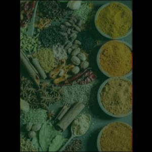masala_original_copy_2