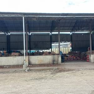 Onion_Auction_Shed_3_original_copy_1