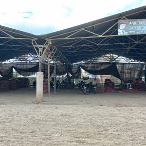 Onion_Auction_Shed_original_copy_1