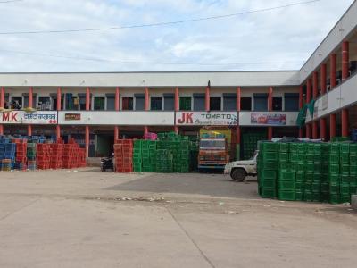 Tomato Auction Shed 1