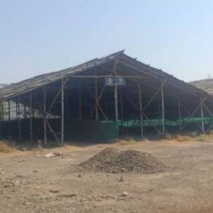 loos_onion_shed_original